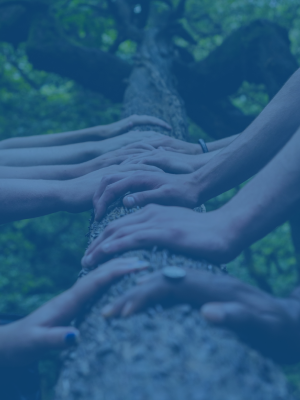 Partnership focused