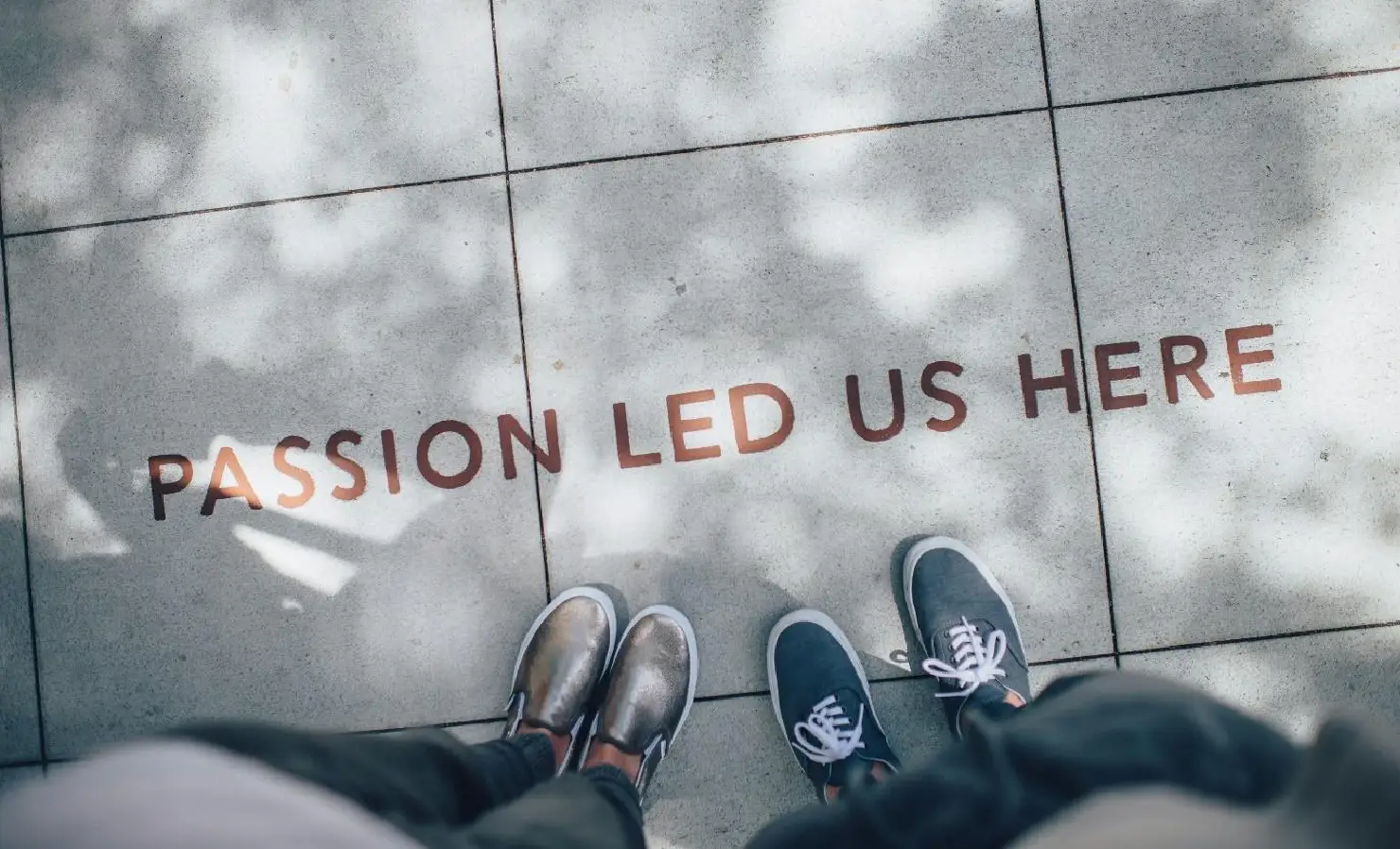 Our Mission & Vission